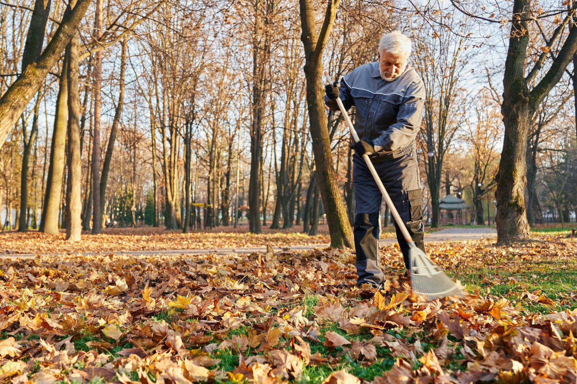 leaf-removal-1