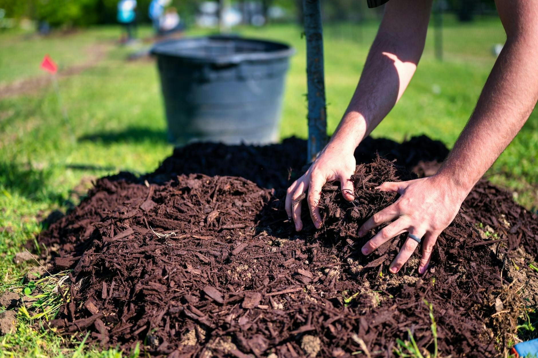 mulch