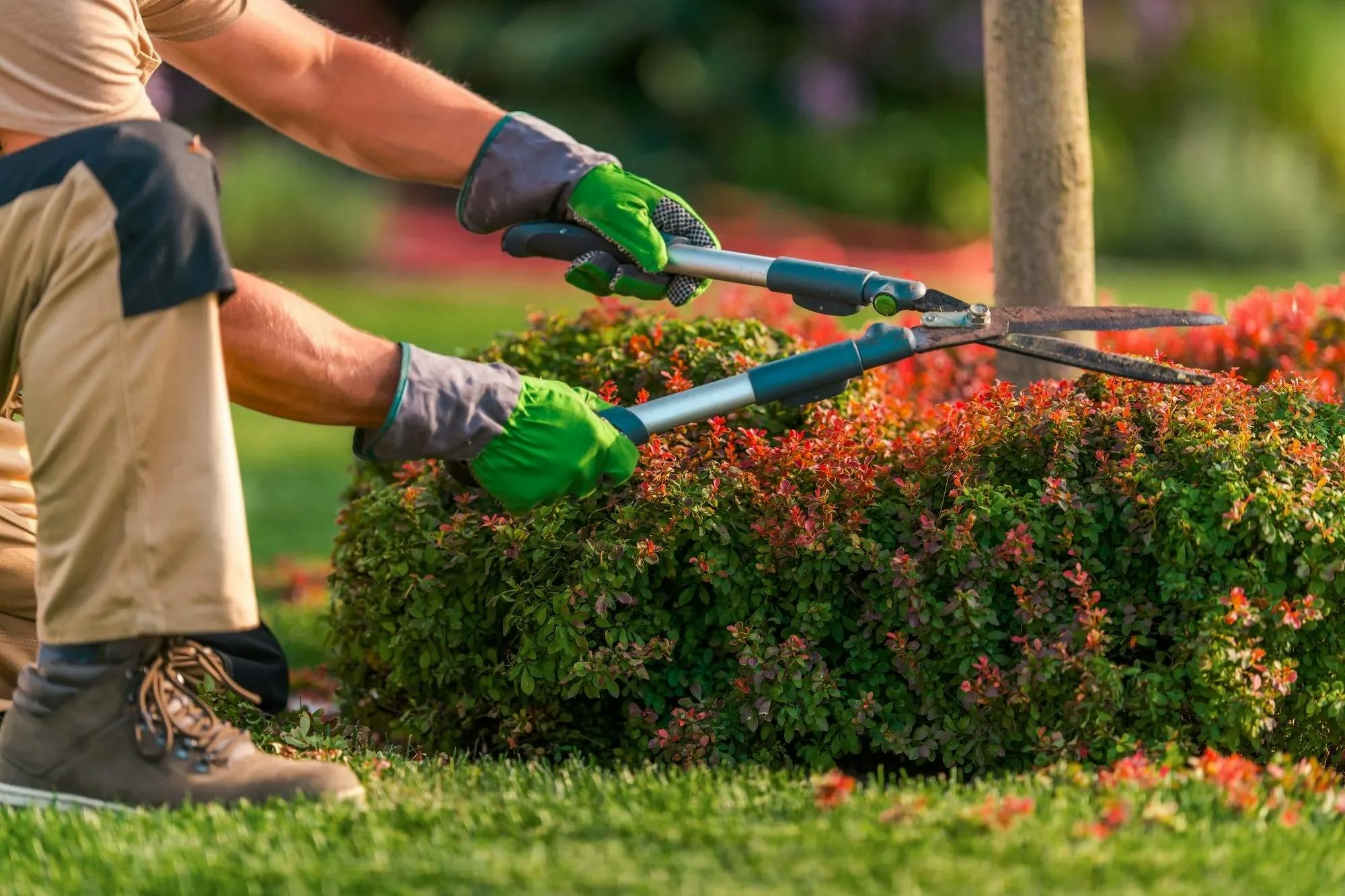 general-yard-maintenance